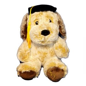 عروسک سگ فارغ التحصیل دانشگاه