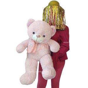 تصویر بهترین عروسک خرس دخترانه
