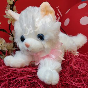 تصویر گربه سفید و خوشگل خارجی
