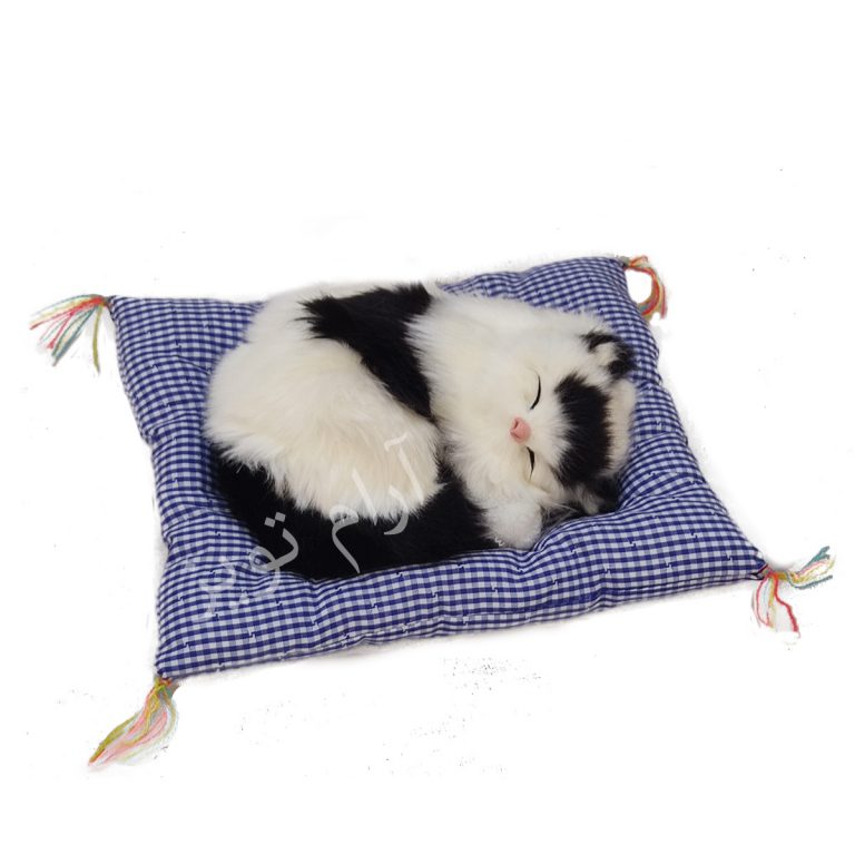 تصویر بزرگ گربه پشمالو سیاه و سفید خوابیده روی بالشت