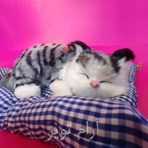 عروسک گربه واقعی خوابیده روی بالشت