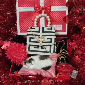 کادو تولد داخل باکس گربه طبیعی کیف شیک زنانه گل قرمز و دراژه های شکل لب